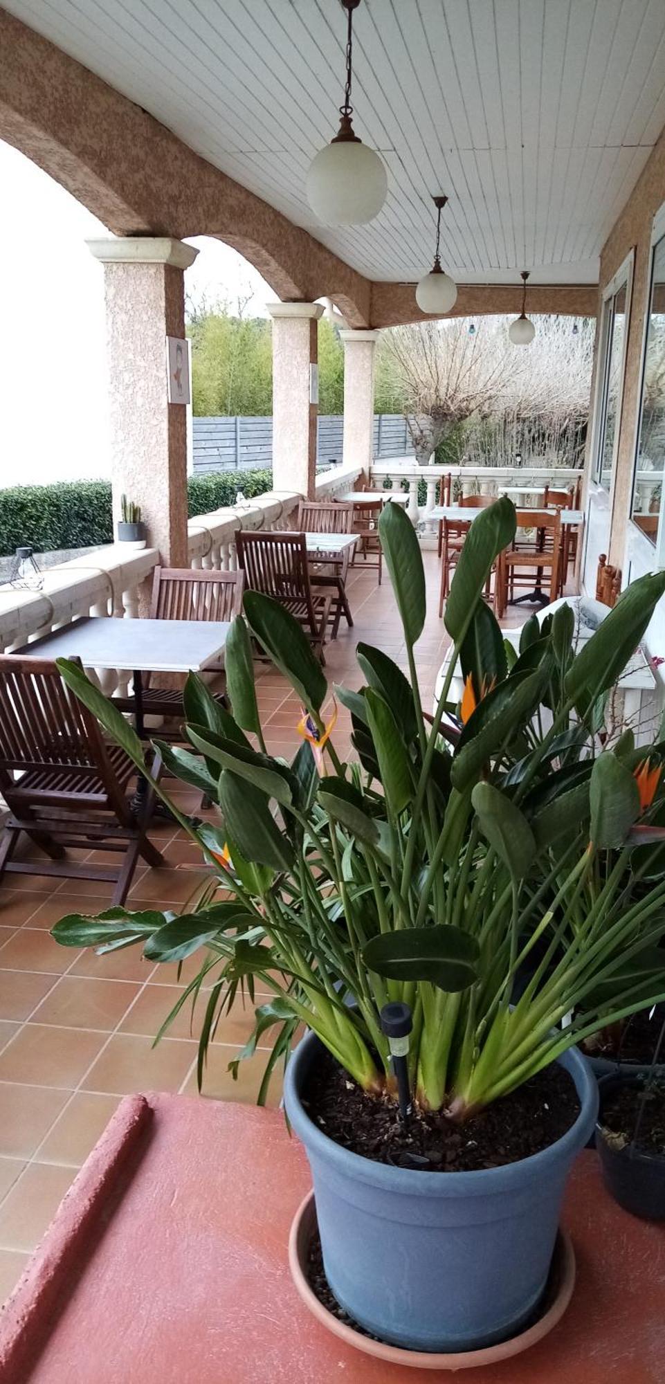 Le Grand Jardin Otel Aujargues Dış mekan fotoğraf